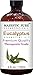 Majestic Pure Eucalyptus Essential Oil, 4 Fluid Ounce, Therapeutic Grade Eucalyptus Oil