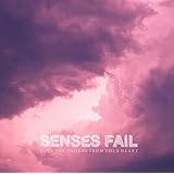 Still Searching Senses Fail