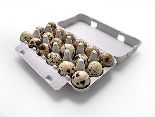 Cnudde 70 Stück 18er Wachteleierschachteln umweltfreundlich robust stoÃdämpfend recycelbar aus Pappe einfach anpassbar