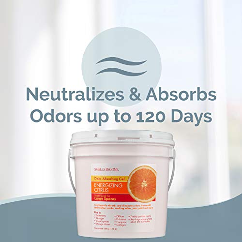 6 Smells+Begone+Odor+Absorber+Solid