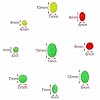 Easy-Catch–1000pcsbox-Hard-Plastic-Oval-Shaped-Fishing-Beads-Fish-Round-Beads-Fishing-Lures-Biats-Beads-Fishing-Tackle-Tools-Eggs-for-Saltwater-Fishing