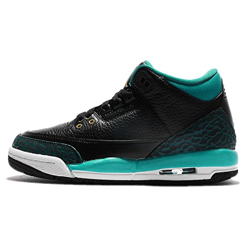 jordan 3 invictus