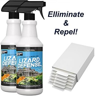 Lizard Defense 32oz + Kit