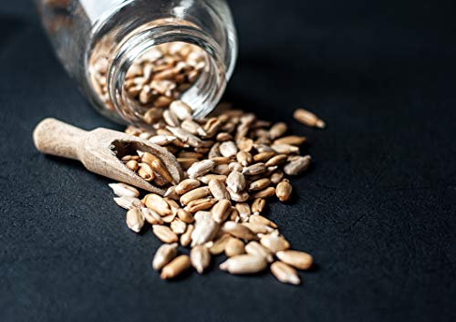Organic Sunflower Seeds, 4 Pounds - Hulled, Raw, Non-GMO, Dried Kernels, Unsalted, Kosher, Vegan, Keto, Paleo, Sirtfood… - Image 7