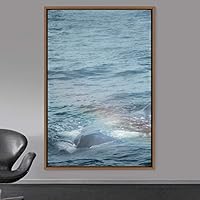 Framed Canvas Wall Art Fish on The Surface Bedroom Dolphin Marine Life Multicolor Nautical Photography - 16x24 inches