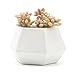 T4U Ceramic Succulent Planter Pots with Drainage Hole Set of 4, Matt Hexagonal Porcelain Handicraft as Gift for Mom Sister Aunt Best for Home Office Restaurant Table Desk Window Sill Decoration