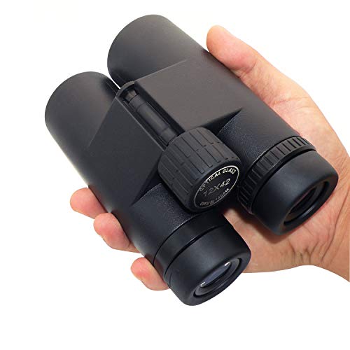 Top 10 Hunting Binoculars For Kids of 2020 No Place Called Home