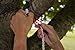 The Original Sun & Sheets Compact Adjustable Travel Bungee Clothesline