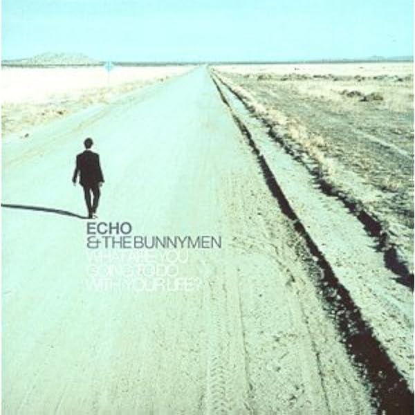 ⑮-38 Echo&the Bunnymen ARROGANCE 2LP 希少盤 Echo & the Bunnymen - Flowers - Amazon.com Music