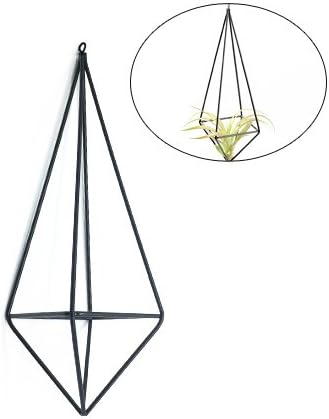 DIAOSnx Rustic Air Plant Flower Pot Rack Holder Container Freestanding Hanging Geometric Quadrilateral Metal Tillandsia, 10 inches Height, Black