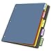 Cardinal Plastic Binder Dividers without Pockets, 5-Tab, Insertable Multicolor Tabs, Letter Size,1 Set (84018), Assorted
