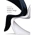 History of Modern Design by David Raizman (2010-08-09)