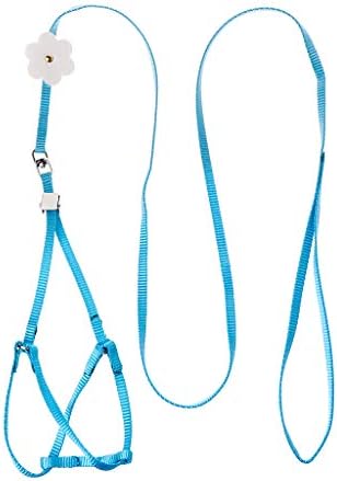Hothap Adjustable Parrot Bird Harness Leash Anti-Bite Training Rope Outdoor Flying Harness And Leash