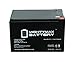 Mighty Max Battery 12V 12AH SLA Battery for John Deere Gator IGOD0004-2 Pack