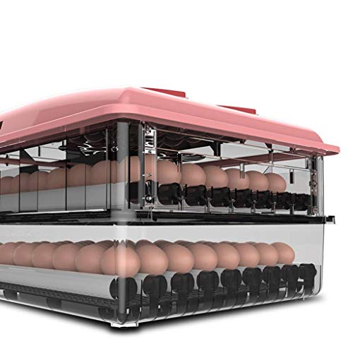 WISKEO Süß Inkubator Eier Automatisch Drehen, Brutmaschine Vollautomatische, Brutkasten mit LED Temperaturanzeige… – Bild 8