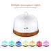Housmile Essential Oil Diffuser (200ml ,Smallest) Ultrasonic Aromotherapy Baby Diffusers Cool Mist Aroma Humidifier with Waterless Auto Shut-off for Office Bedside Yoga Spa Living Room