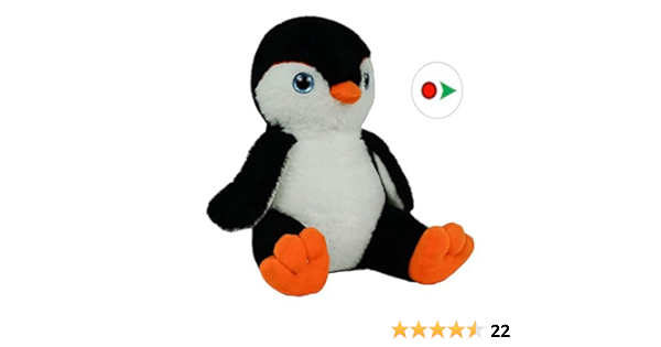 record a message stuffed animal