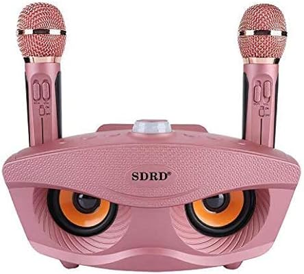 portable speaker microphone system