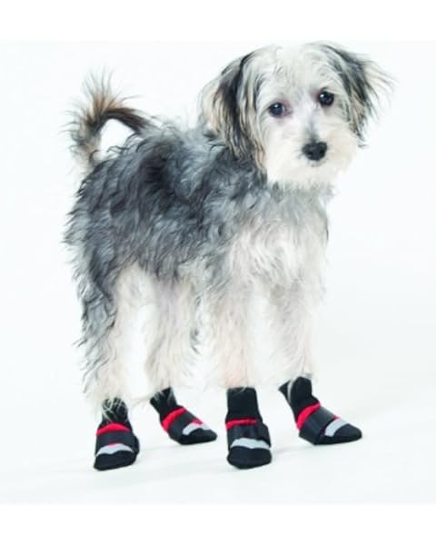 dog xxs boots