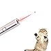 Newest Version Laser Pointer Cat Toy Interactive,2 in 1 Chaser Toy With Red Dot and Flashlight to Scratching Training Tool For Cat(Silver01)