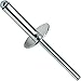 Large Flange Pop Rivets 3/16