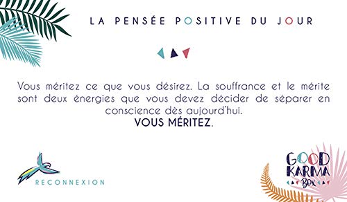 Good Karma Box 50 Cartes 100 Pensee Positive French Edition Abellan Stephanie Amazon Com Books