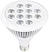 Sandalwood LED Plant Grow Light for Hydroponic Garden and Greenhouse, 12W, E27 Socket, 3 Bands