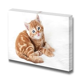 Cute Little Red Kitten Lies on White Fur Blanket Cute Pet Animal Photograph - Canvas Art Wall Art - 12" x 18"
