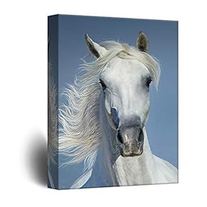 Canvas Wall Art - White Horse Portrait - Giclee Print Gallery Wrap Modern Home Art Ready to Hang - 12x18 inches