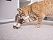 SmartyKat Toss-A-Fox Feather Toss & Chase Cat Toy, Randomly Selected Color - Brown OR White, One Size