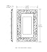 Franklin Brass Paisley Wall Plate, Brushed Satin Pewter Single Decorator Switch Cover, 1-Pack, 64046