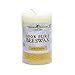 Bluecorn Beeswax 100% Pure Beeswax Pillar Candles | Ivory White Beeswax, Unscented | Soy, Paraffin, & Fragrance Free | 2x3, 25 Hour Burn Time | Handmade in Colorado