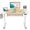 FEZIBO Dual Motor Height Adjustable Electric Standing Desk, 48 x 24 Inch Full Sit Stand Home Office Table with Splice…