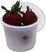 Vito's famous Deli Container with Lid, 4 Ounce (Pack 50)