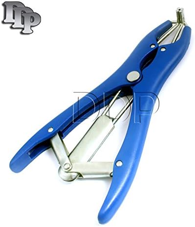 DDP ECONOMY CASTRA BANDER BLUE