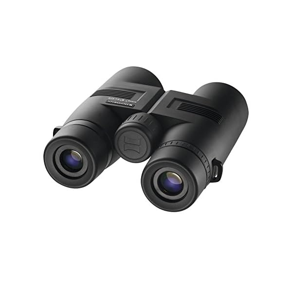ESCHENBACH Optik 8x42 Arena D+ wetterfestes Fernglas - handliches Einstiegsmodell für Wanderungen, Vogelbeobachtungen, Veranstaltungen – Bild 3