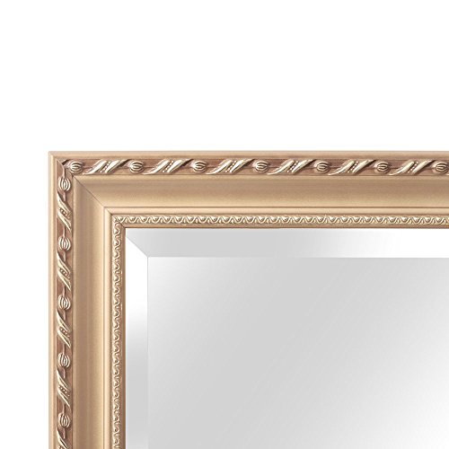 Hans & Alice 65"x24" Rectangular Bathroom Full Length Floor Mirror