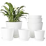 LaDoVita 7 Pack Plastic Plant Pots