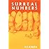 Surreal Numbers