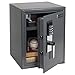 First Alert 2077DF Anti-Theft Safe with Digital Lock, 1.2 Cubic Foot, Grey
