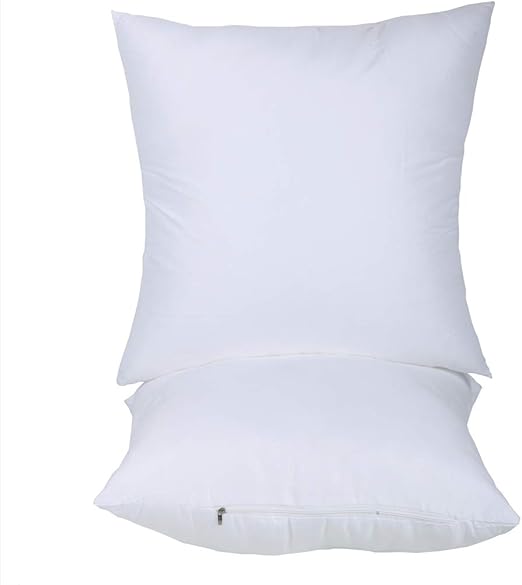 Amazon Com Aiwendish 20x20 Pillow Inserts Set Of 2 Down