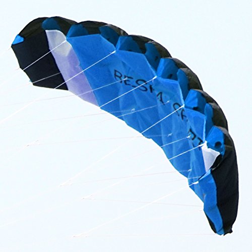 Besra New Arrival Huge 74inch Dual Line Parachute Stunt Kite with Flying Tools 1.9m Power Parafoil Kitesurfing Training kites Outdoor Fun Sports for Beach (74inch Blue)