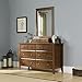 Sauder Shoal Creek Mirror Color: Oiled Oak