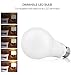 A19 LED Bulb, LuminWiz 9W 2700K 700lm UL-Listed LED Light Bulbs 60W Equivalent,E26 Base,Energy Star,Warm White, 6-Pack