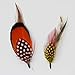 Borges & Scott - Feather Mounts for Hats (Millinery Feathers) - Pack of 8