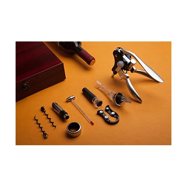 Set Professionale Cavatappi Vino - Apribottiglie Manuale, Tappo Sottovuoto, Tagliafoglio E Versatore