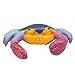 Animal Planet Ocean Easter Grow Eggs 3 Pack- Educational Marine Animal Toys - Hatch and Grow Your Own Sea Creature Pet (Series 2)