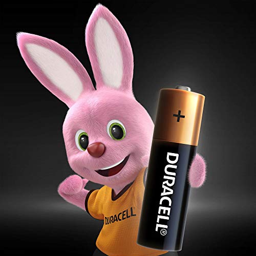 Pilha-Alcalina-Aa-Duracell
