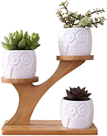 1 Set Ceramic Owl Garden Pots Modern Decorative Nursery Succulent Plant Pot 3 Bonsai Planters with 3-Tier Bamboo Shelf (White)