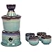 MyGift 7 Pc Sake Set with Warmer, Japanese Style Blue and Purple Ceramic Sake Serving Gift Set with 7.4 oz Bottle Carafe, 4 Ochoko 1.7 oz Cups and Warmer